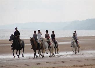 Balade à cheval sur les plages de normandie - calvados